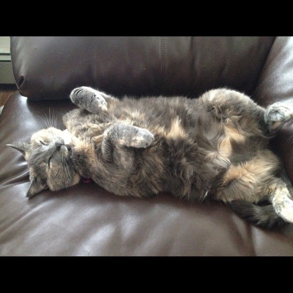 ๐๐๐LULUโS BIRTHDAY BUNDLE!!!๐๐๐ - Picture 7 of 8